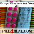 Kamagra 100Mg Jalea Oral Cómo Usar 35